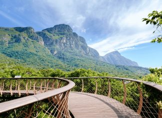 Walking Among the Treetops – Explore the Boomslang in Cape Town’s Kirstenbosch National Botanical Garden
