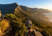 Lion’s Head: The Epic Summit Overlooking Cape Town and the Atlantic Coast
