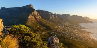 Lion’s Head: The Epic Summit Overlooking Cape Town and the Atlantic Coast