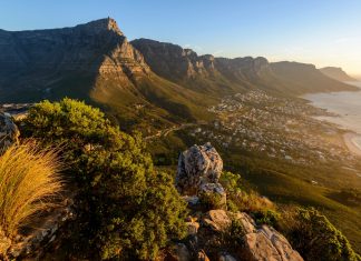 Lion’s Head: The Epic Summit Overlooking Cape Town and the Atlantic Coast