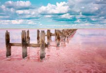 The Rare Ecological Curiosity of Tanzania’s Lake Natron