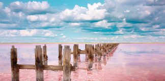 The Rare Ecological Curiosity of Tanzania’s Lake Natron