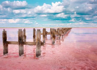 The Rare Ecological Curiosity of Tanzania’s Lake Natron