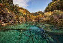Jiuzhaigou Valley – Immerse Yourself In China’s Most Beautiful National Park