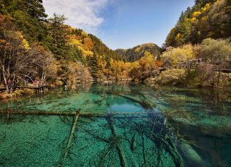 Jiuzhaigou Valley – Immerse Yourself In China’s Most Beautiful National Park