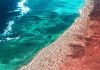 Ningaloo Reef And The Australian Coastal Resort You’ve Never Heard Of.