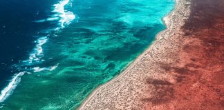 Ningaloo Reef And The Australian Coastal Resort You’ve Never Heard Of.