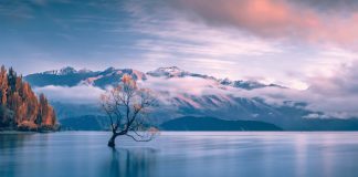 A Journey To Wanaka: New Zealand’s Premier Year-Round Mountain Resort