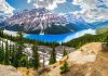 Visit Peyto Lake In The Pristine Canadian Wilderness