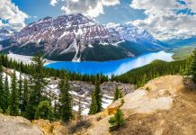 Visit Peyto Lake In The Pristine Canadian Wilderness