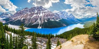 Visit Peyto Lake In The Pristine Canadian Wilderness