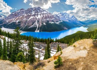 Visit Peyto Lake In The Pristine Canadian Wilderness