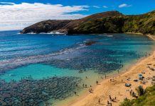 Hawaii’s Hanauma Bay – Tropical Sun, Sea, Snorkelling, and Sand