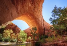 Coyote Gulch: Utah’s Oasis Canyon of Natural Arches, Waterfalls and Towering Navajo Cliffs
