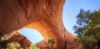 Coyote Gulch: Utah’s Oasis Canyon of Natural Arches, Waterfalls and Towering Navajo Cliffs
