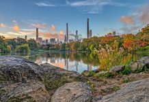 Central Park, New York: The Green Heart of America’s Big Apple
