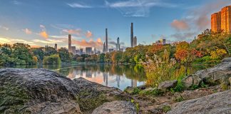Central Park, New York: The Green Heart of America’s Big Apple