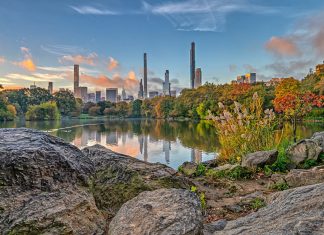 Central Park, New York: The Green Heart of America’s Big Apple