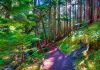 Ramona Falls, Oregon: Discover Mount Hood’s Most Beautiful Waterfall