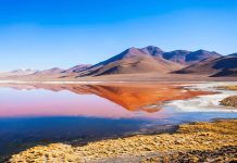 Laguna Colorada – The Fiery Red Heart of Bolivia’s Rugged Altiplano