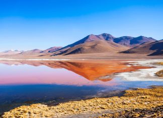 Laguna Colorada – The Fiery Red Heart of Bolivia’s Rugged Altiplano
