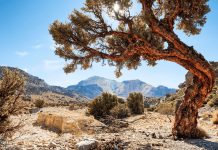 Explore Bolivia’s Giant Tunupa Volcano and the Uyuni Salt Flats