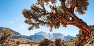 Explore Bolivia’s Giant Tunupa Volcano and the Uyuni Salt Flats