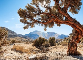 Explore Bolivia’s Giant Tunupa Volcano and the Uyuni Salt Flats