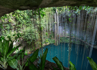 Dive into Mexico’s Mystical Mayan Past at Chichén Itzá’s Eerie Sacred Cenote
